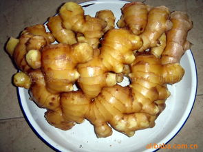 萊蕪市萊城區(qū)振興農(nóng)副產(chǎn)品綜合加工廠 推動農(nóng)副產(chǎn)品精深加工，助力鄉(xiāng)村振興