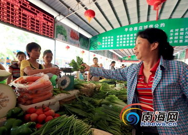 海南將建立東西部蔬菜交易市場，減免市場攤位費助力農(nóng)副產(chǎn)品流通
