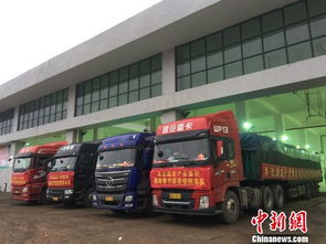 海口大型公益性農(nóng)副產(chǎn)品批發(fā)市場啟動(dòng)試運(yùn)營，39家一級批發(fā)商入駐開啟惠民新篇章