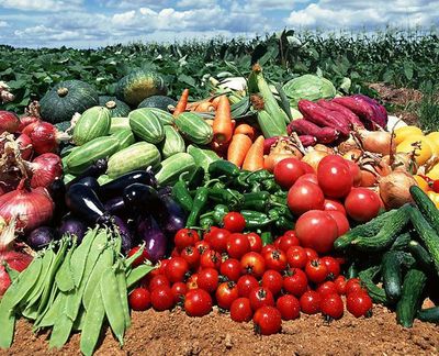 農副產品“價賤傷農”背后 價格低迷為何仍陷銷售困境？