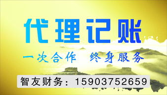平頂山代理記賬與代理代辦服務(wù) 企業(yè)高效運營的得力助手