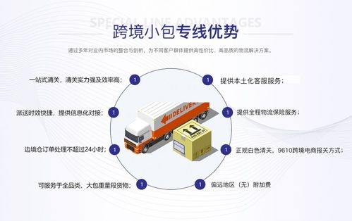 拉美DDP信息咨詢服務(wù)費用解析